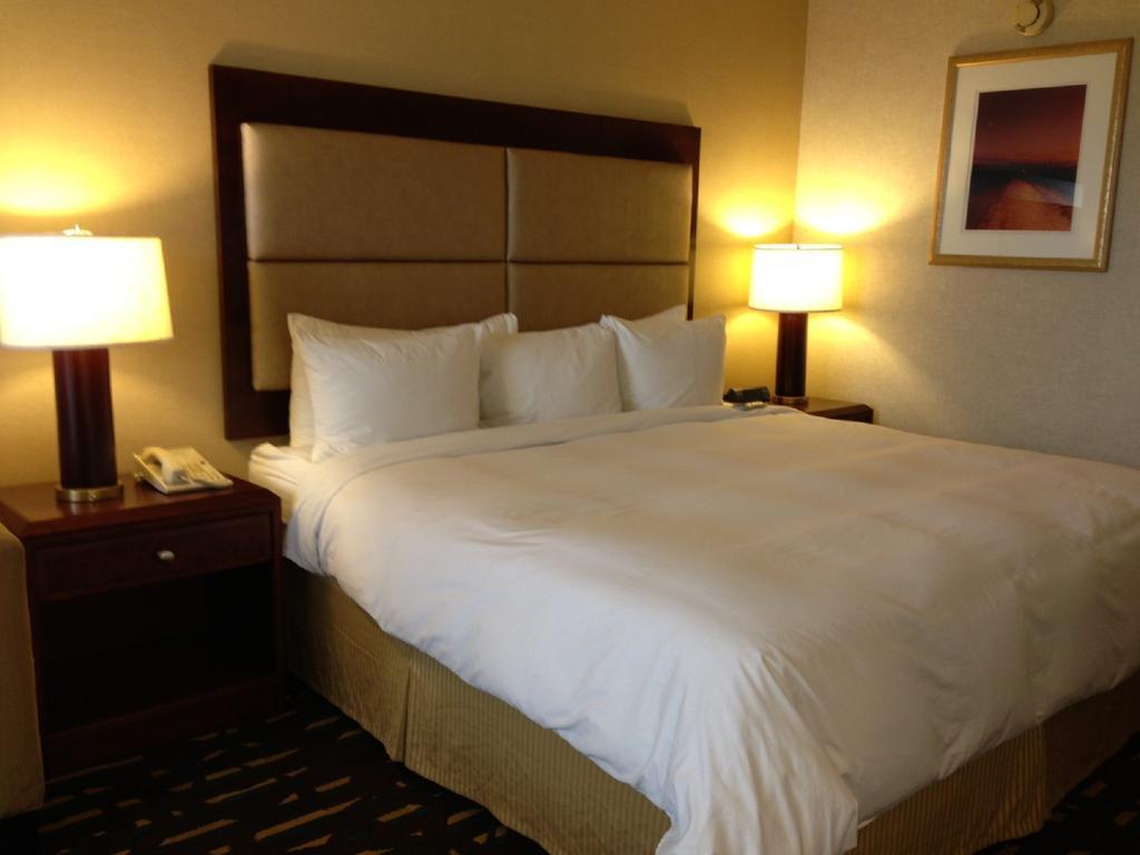 Отель Wyndham Chicago O'Hare Розмонт Экстерьер фото