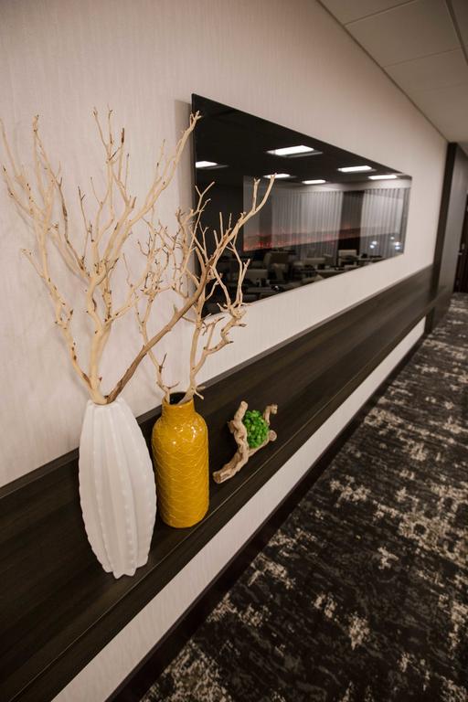 Отель Wyndham Chicago O'Hare Розмонт Экстерьер фото
